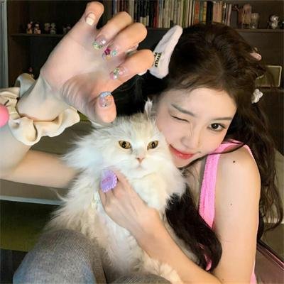 女王蜂游戏